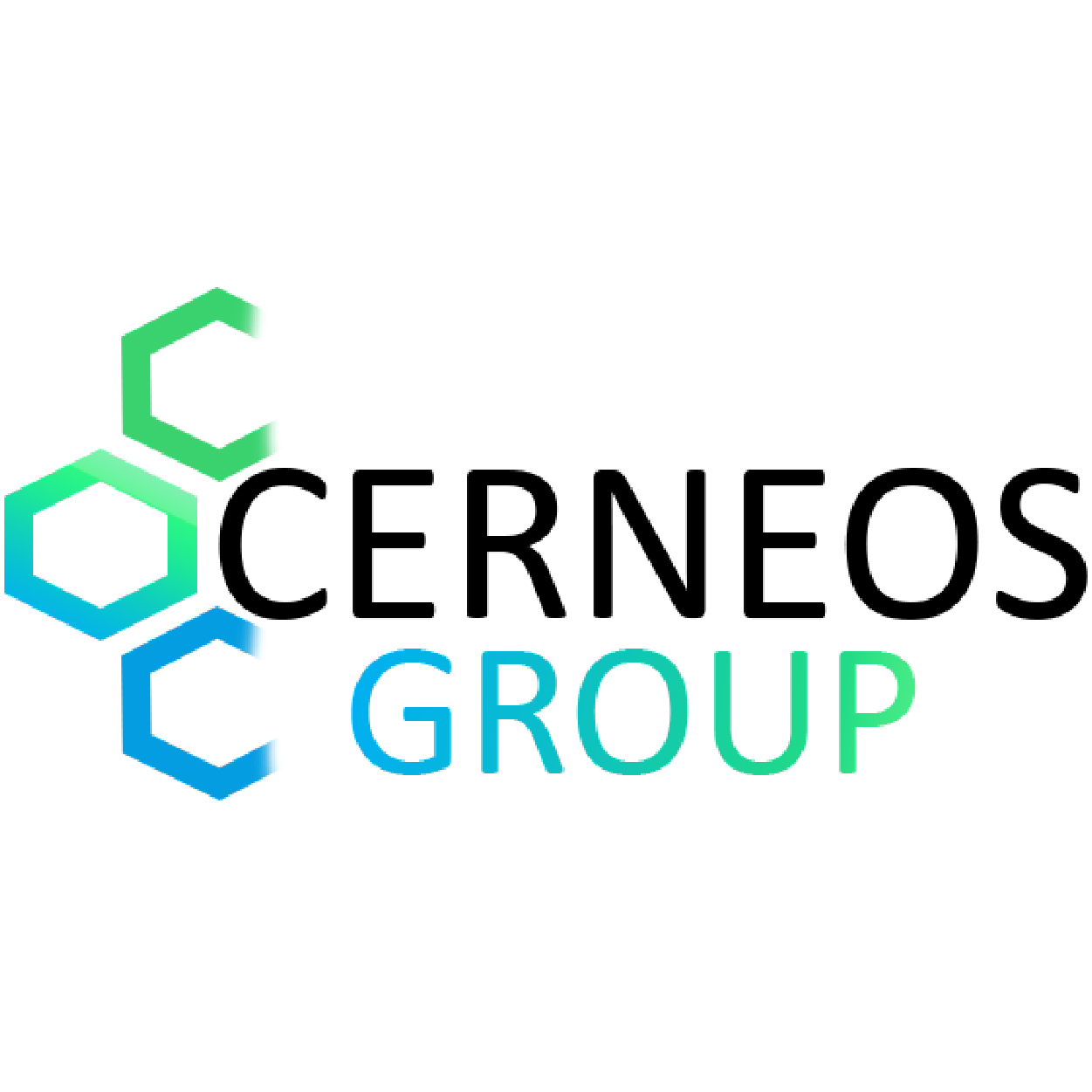 Cerneos Group